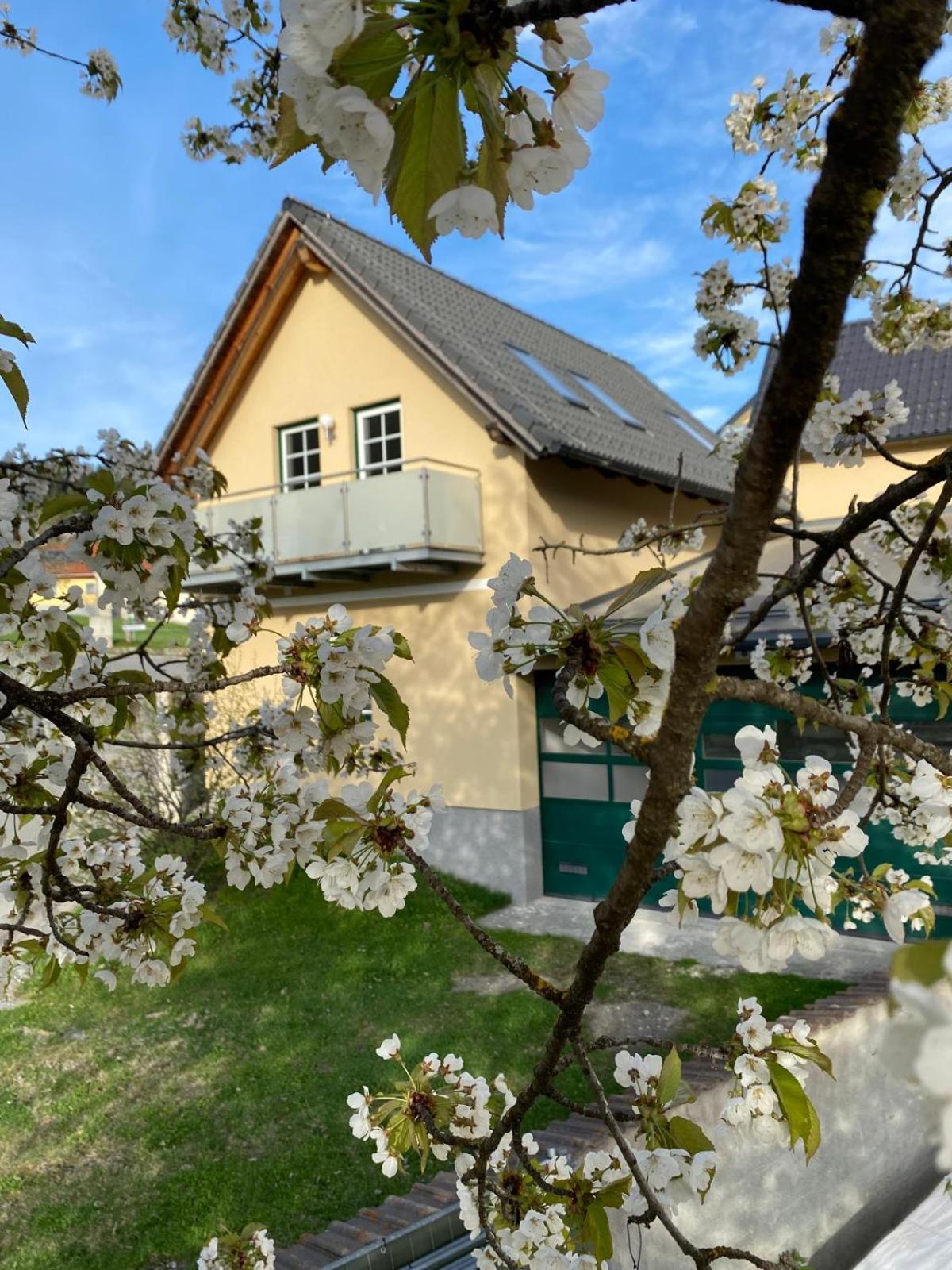 Ferienwohnung in Mariahof Neumarkt in Steiermark Exterior photo
